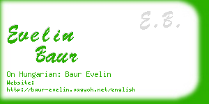 evelin baur business card